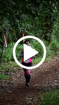 BIB:  <button type="button" onclick="openModal(27290782)" class="btn btn-primary btn-sm float-right" data-toggle="modal" data-target=".modal-high-quality">
                <i class="fa fa-download"></i> Download
                </button>